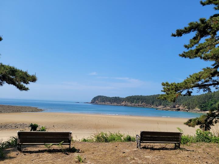 [충청남도 태안군] 구름포해변캠핑장