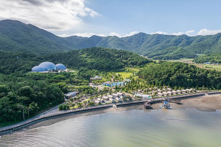[전라남도 보성군] 디노글램핑
