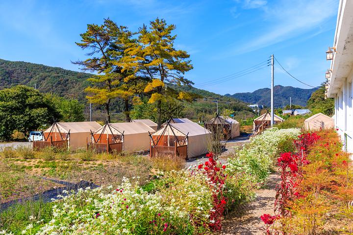 [충청북도 보은군] 일상화 글램핑