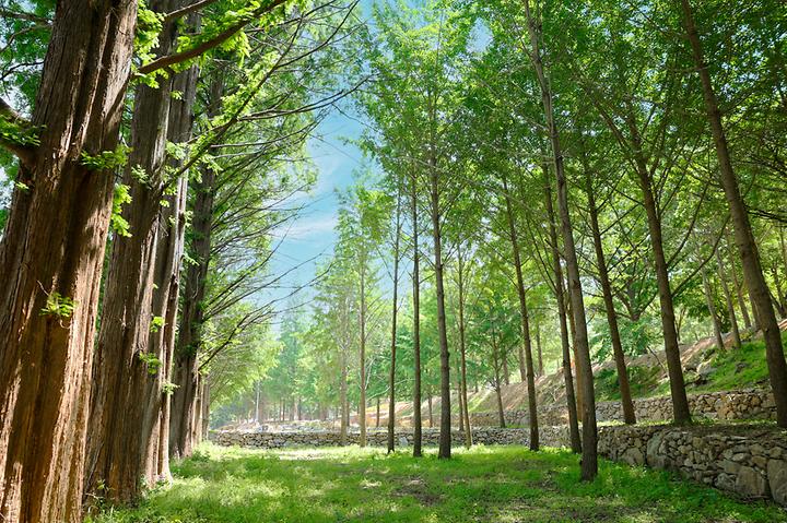 [충청남도 예산군] (주)스노우라인캠핑빌리지 – 스노우라인 회원들을 위한 특별한 공간