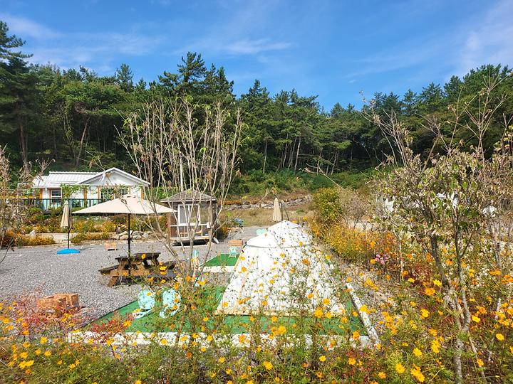 [경상남도 사천시] 사천파인트리캠핑장