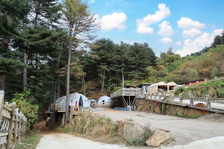 [경기도 포천시] 엉클킴스 캠핑장