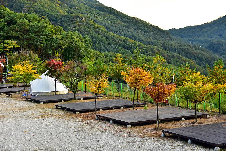 [경기도 포천시] 예손농원캠핑장 – 맑은 공기, 깔끔한 시설을 원한다면 예손농원캠핑장을 선택하자.