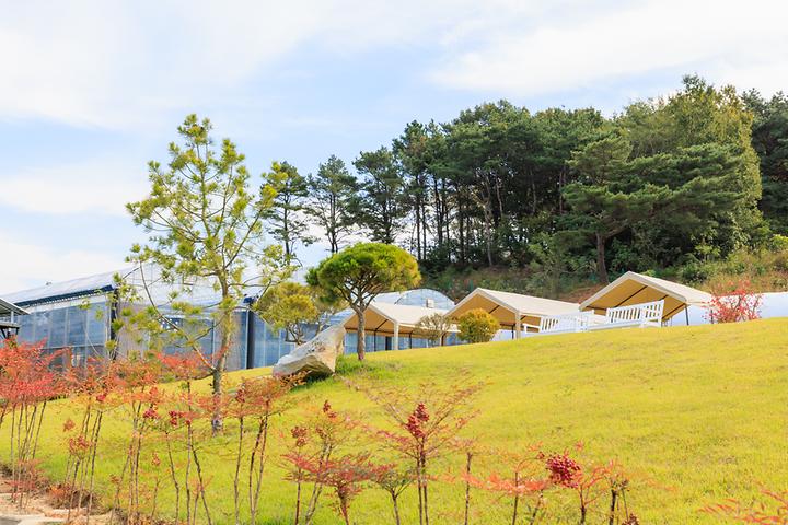 [충청남도 아산시] 세제골농원 숲속야영장