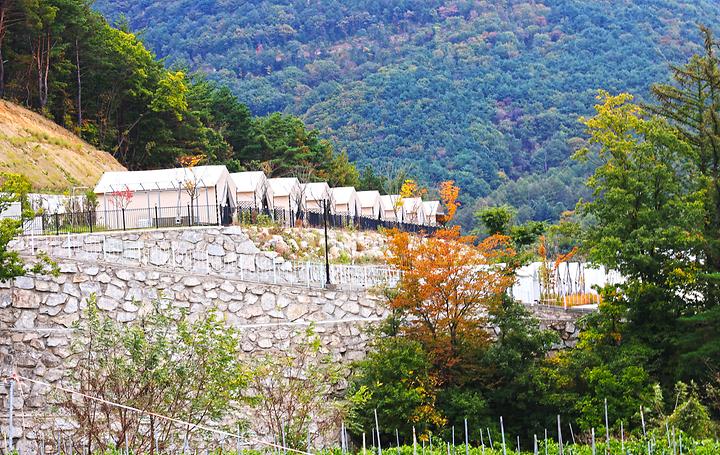 [울산광역시 울주군] 라포레소호