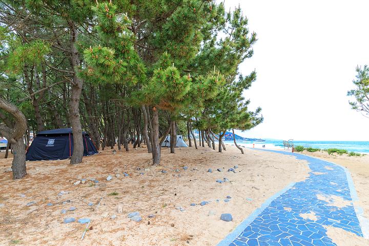 [경상북도 포항시] 화진해수욕장 마을번영회 야영장