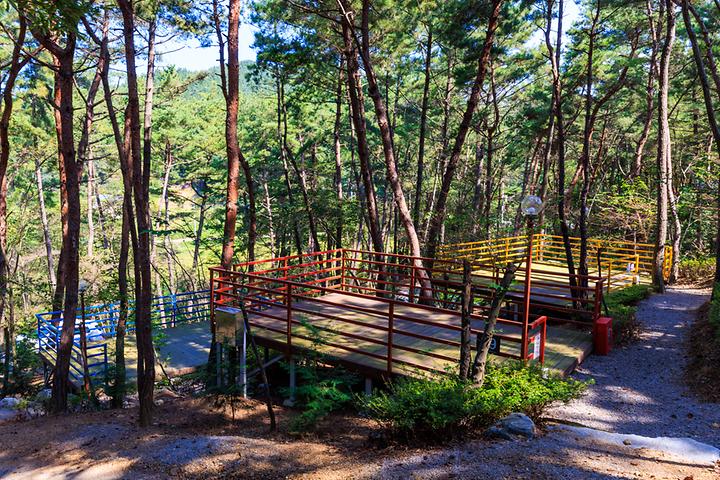 [충청남도 태안군] 올레유