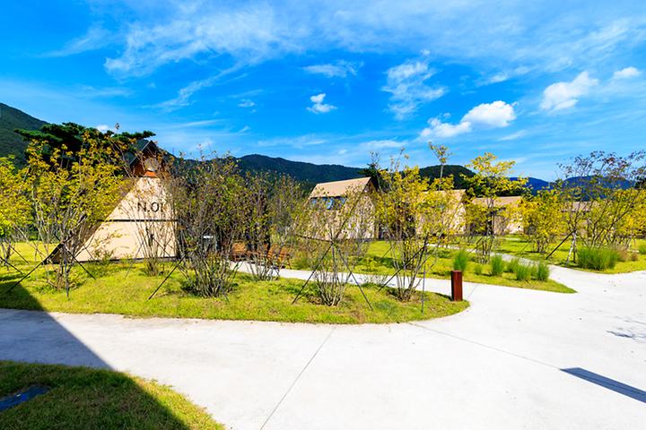 [경상북도 청도군] pause 글램핑