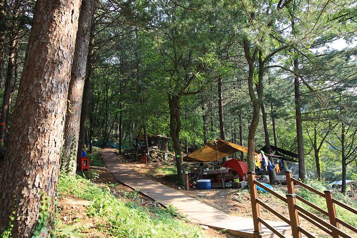 [강원도 횡성군] 선바위자연캠핑장