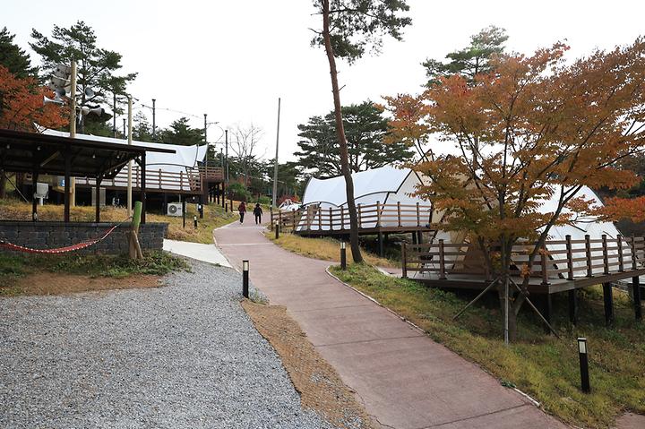 [강원도 정선군] 숲속야영장