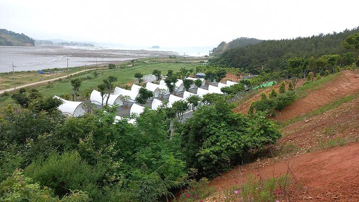 [충청남도 보령시] 오즈캠핑 – 원산도에 있는 최고급 시설의 글램핑과 일반야영장