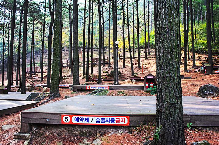[전라남도 보성군] 제암산자연휴양림 야영장 – 전문가가 동행하는 숲 해설 프로그램을 상시 운영하는 자연 친화형 캠핑장