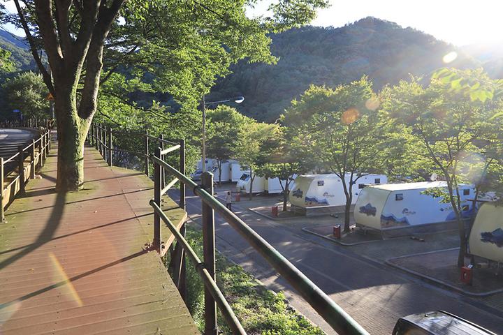 [강원도 원주시] 구룡자동차야영장(치악산국립공원) – 치악산 구룡사 가는 길, 계곡옆에 조성한 국립공원 캠핑장