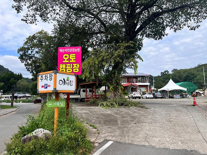 [경상북도 고령군] 예손캠핑장 – 도심에서 가까운 숲속 캠핑장