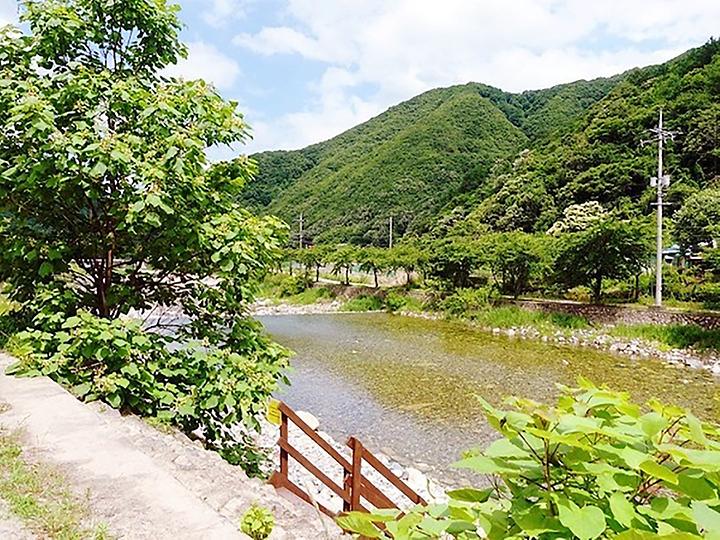 [충청북도 제천시] 월악파머스캠핑장 – 산으로 둘러싸인 계곡 인근 캠핑장
