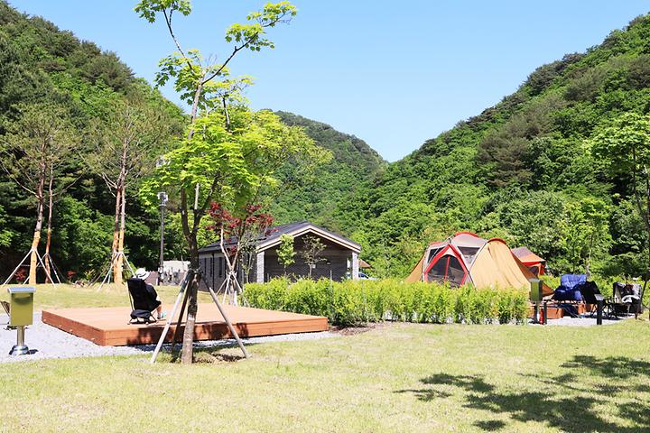 [강원도 인제군] 갯골자연휴양림 야영장 – 인제 시내에서 가까운 계곡 휴양림내 캠핑장