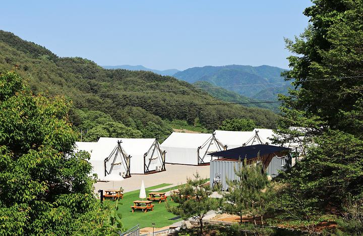 [강원도 인제군] 원대리751 글램핑 – 인제 자작나무숲 아래에 있는 카페&글램핑