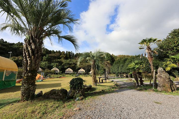 [제주특별자치도 제주시] 제주올레캠핑 – 울창한 숲과 둥그런 분지 속의 편안함