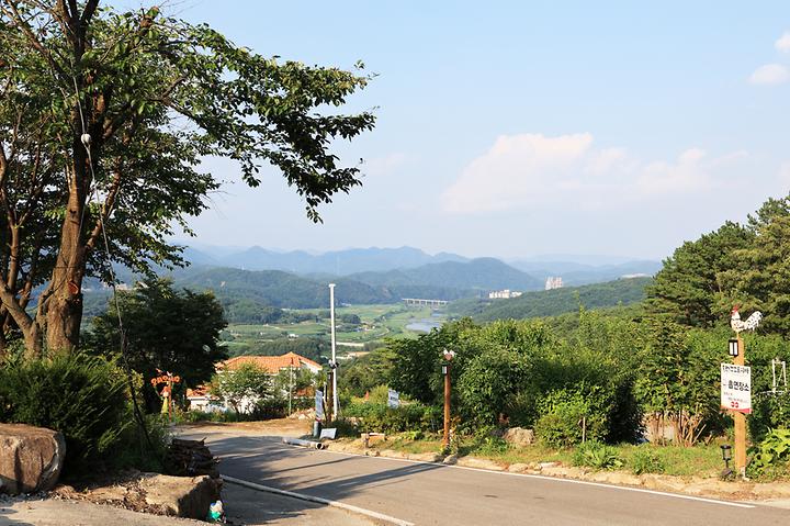 [강원도 영월군] 꼬꼬토피아 캠핑 – 넓고 쾌적한 자연경관, 전용 카페와 닭 에술품 전시관
