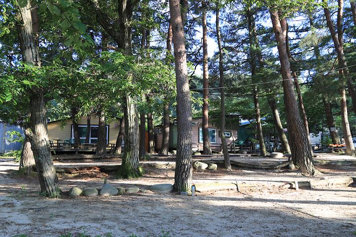 [강원도 강릉시] 폭포골자연휴양림야영장