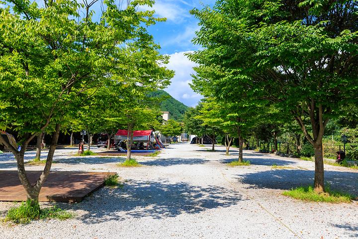[경상남도 함양군] 캠프더포레 – 깔끔하고 수목이 울창한 계곡 옆 캠핑장