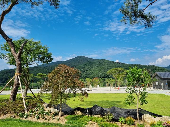 [충청북도 충주시] 소리의섬