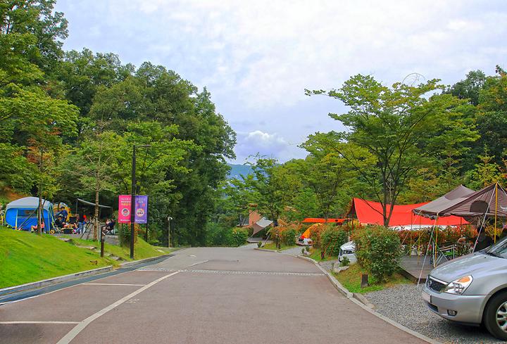 [경기도 광명시] 광명도덕산캠핑장 – 대한민국 100대 관광지인 광명동굴과 도덕산 출렁다리 인근에 위치한 캠핑장