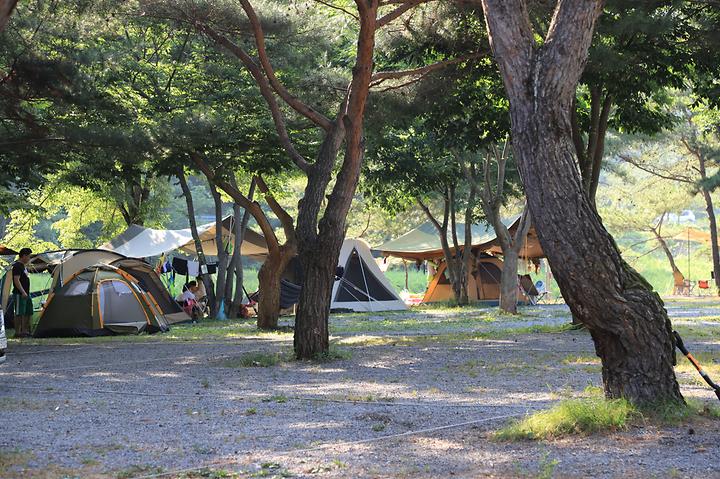 [강원도 영월군] 영월키즈캠핑장