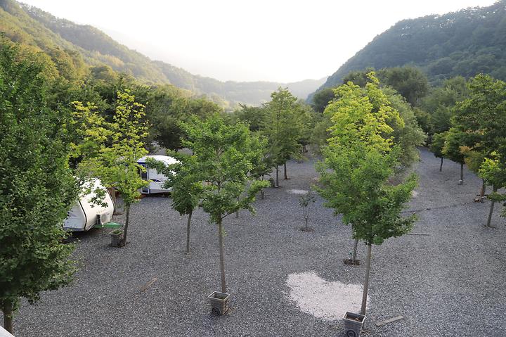 [강원도 영월군] 산솔오토캠핑장
