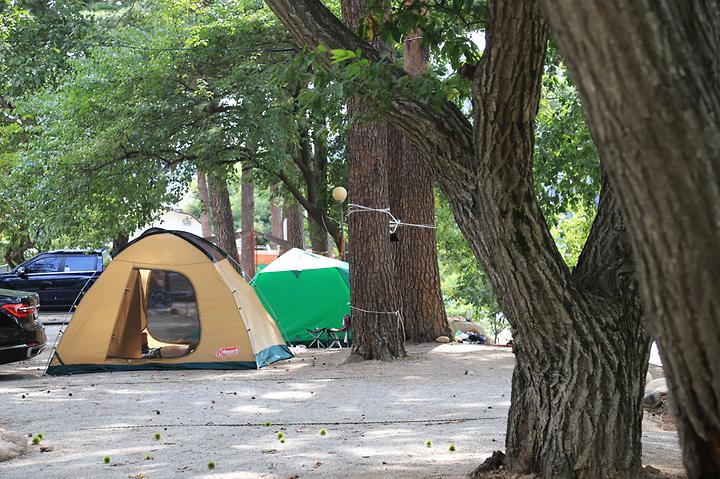 [강원도 인제군] 돌배야영장(제1야영장)