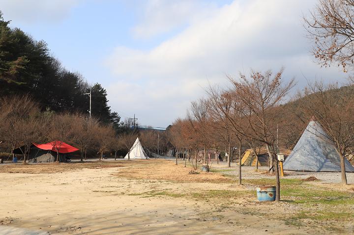 [강원도 화천군] 러브팜캠핑장