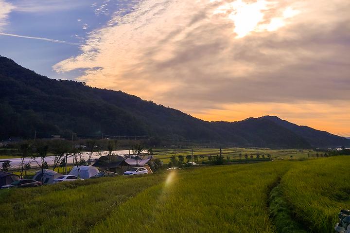 [경상북도 고령군] 다시캠핑장위드펫 – 계곡에 자리한 반려견 동반 가능 캠핑장