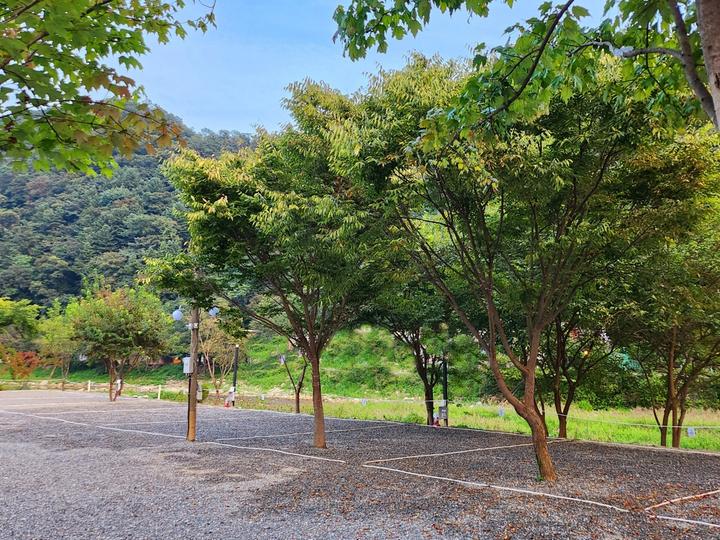 [경기도 가평군] 가평뷰캠핑장 – 가평 계곡 바로 앞 물멍하기 좋은 신생 가평뷰캠핑장입니다.