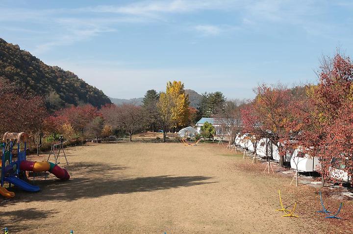 [충청북도 괴산군] 괴강관광농원  – 도심 속에서 자연을 만끽할 수 있는 글램핑
