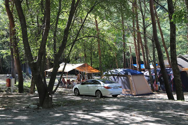 [강원도 양양군] 갈천 오토캠핑장