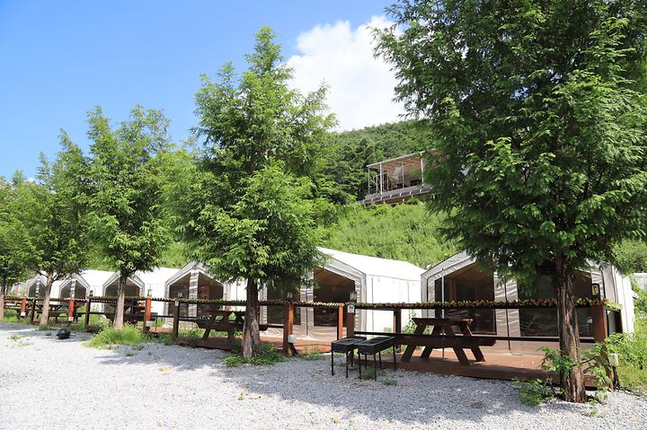 [강원도 영월군] 동강글램핑