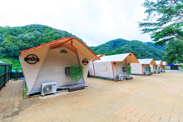 [대전광역시 서구] 오로라