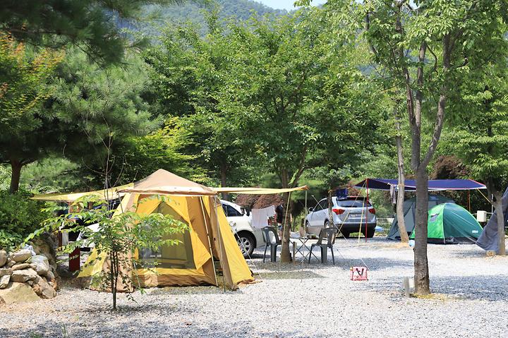 [강원도 영월군] 물마루 캠핑장