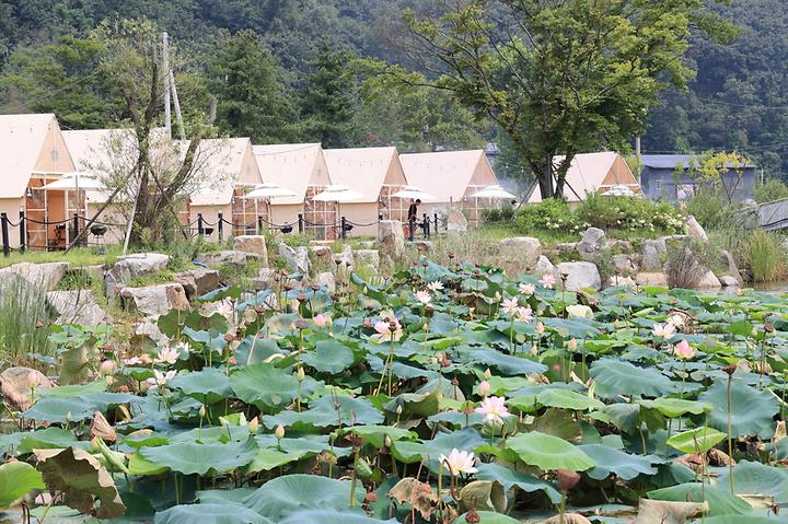 [경기도 용인시] (주)캠핑야미 – 용인 이동저수지근처 천변 럭셔리 바비큐 캠핑장