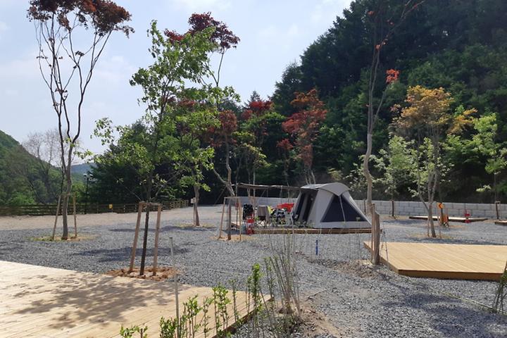 [충청북도 충주시] 코코캠핑