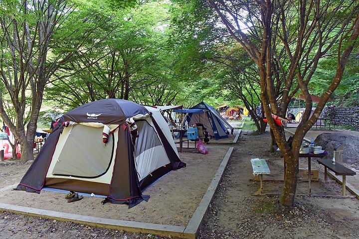[전라북도 남원시] 뱀사골야영장 – 30년이 넘는 역사를 자랑하는 뱀사골 힐링야영장에서 힐링을!