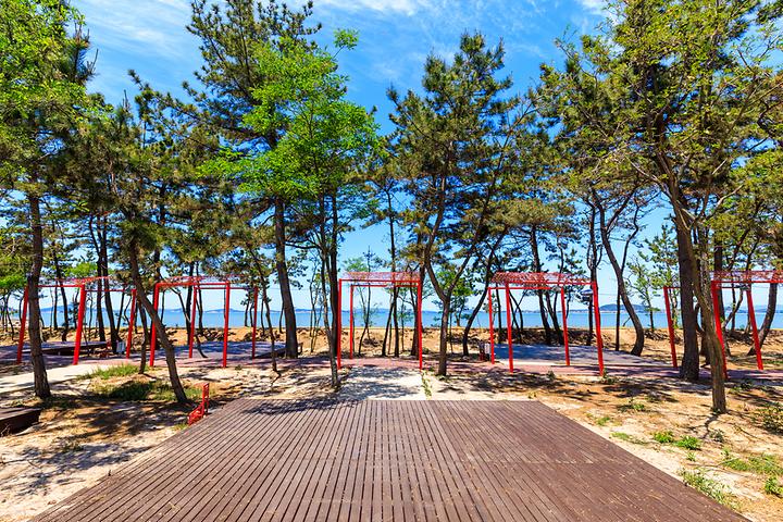 [전라남도 무안군] 노을길 야영장 – 무안낙지공원 내에 자리한 카라반&캠핑장