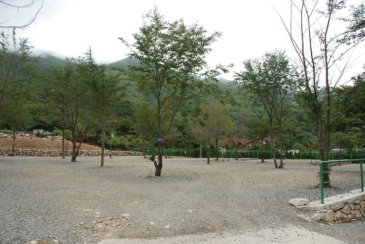 [경상북도 경주시] 에코밸리 캠프 – 울창한 송림과 계곡이 있는 캠핑장