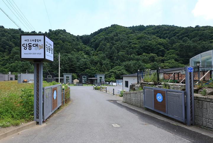 [경기도 가평군] 딩동댕캠핑장 – 가평 반려견 펜션/독채형/카라반