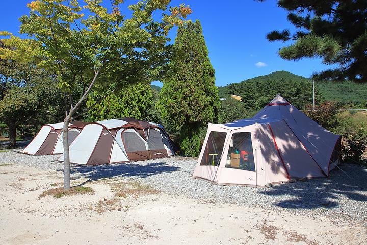 [경상북도 포항시] 늘푸른캠핑장 – 계곡 코앞에 둥지 튼 숲속 캠핑장