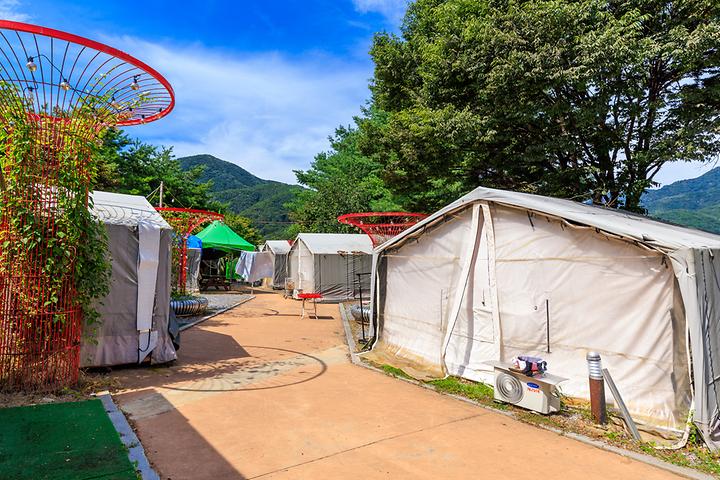 [경상북도 문경시] 젠틀펫 파라다이스 – 반려견 관련 부대시설이 알찬 글램핑장