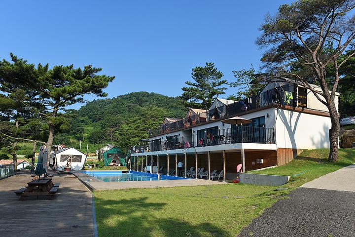 [경상남도 밀양시] 휴식관광농원캠핑장 – 소나무가 빼곡한 숲에서 건강한 캠핑을 즐기는 휴식관광농원캠핑장