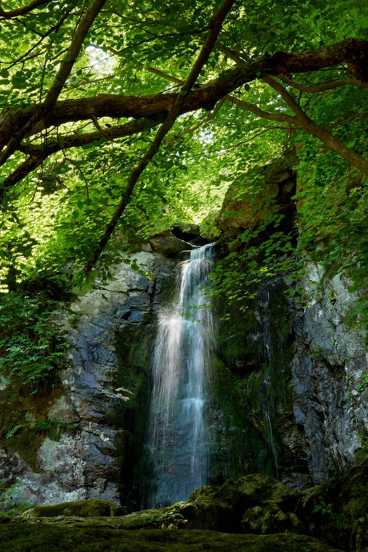 [강원도 철원군] 매월대폭포 캠핑장