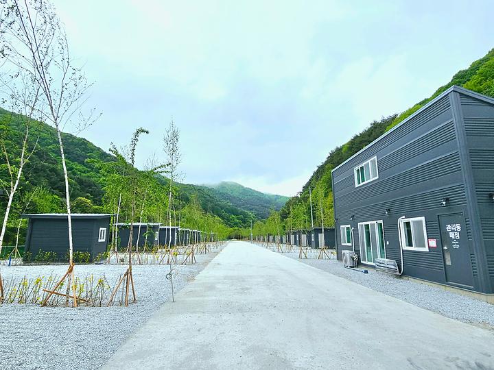 [경상남도 함양군] 자작나무뜰 오토캠핑장