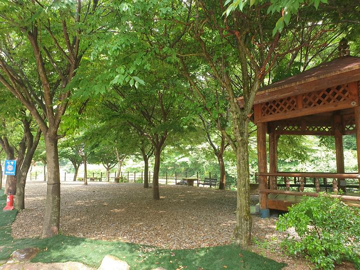 [경상북도 문경시] 녹색 오토캠핑장 – 시원한 계곡과 훌륭한 조경이 돋보이는 곳